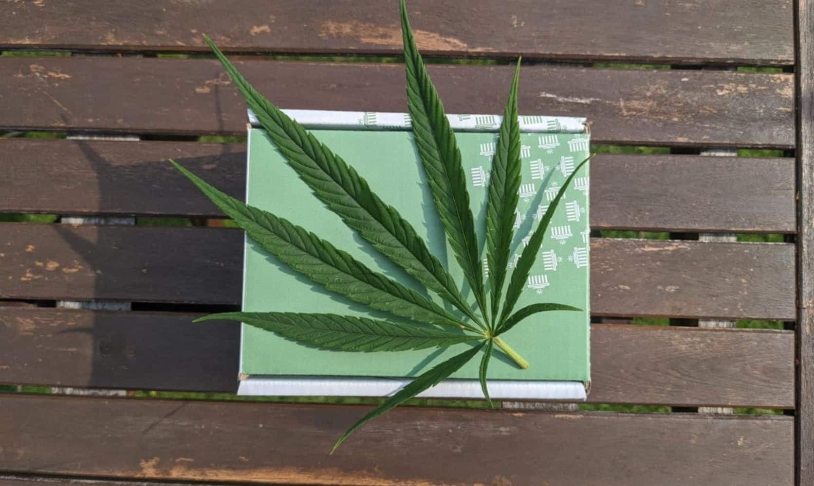 Bud Cargo: Canada’s Premier Online Dispensary Offering Premium Products at cheap canna Prices