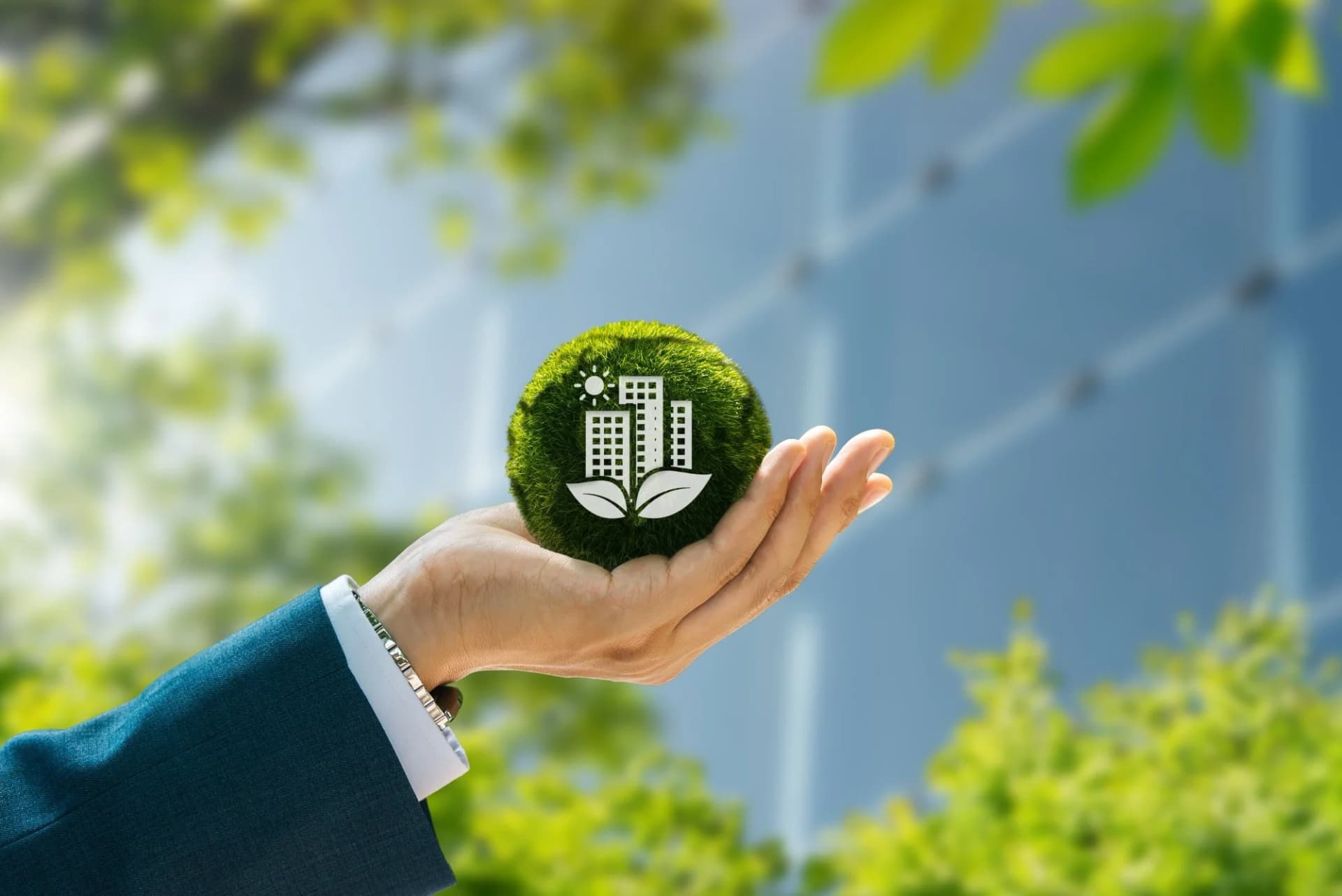 Green Cooling: Innovative Cold Room Technology