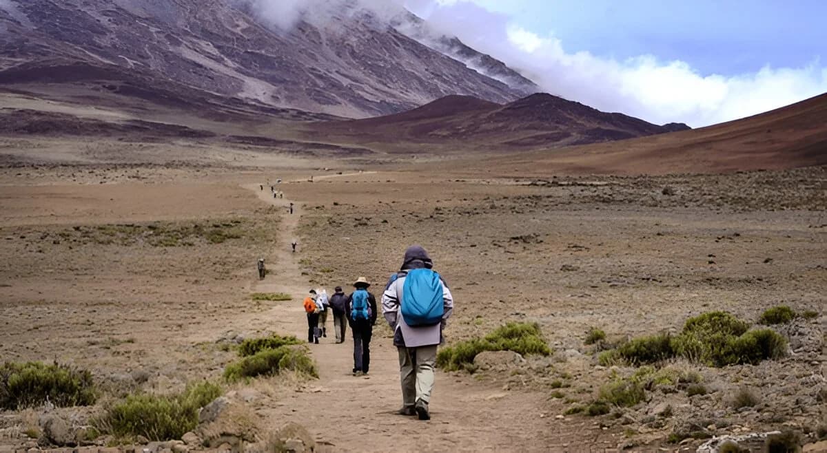 Climb Kilimanjaro Safely with a Licensed Tanzanian Operator