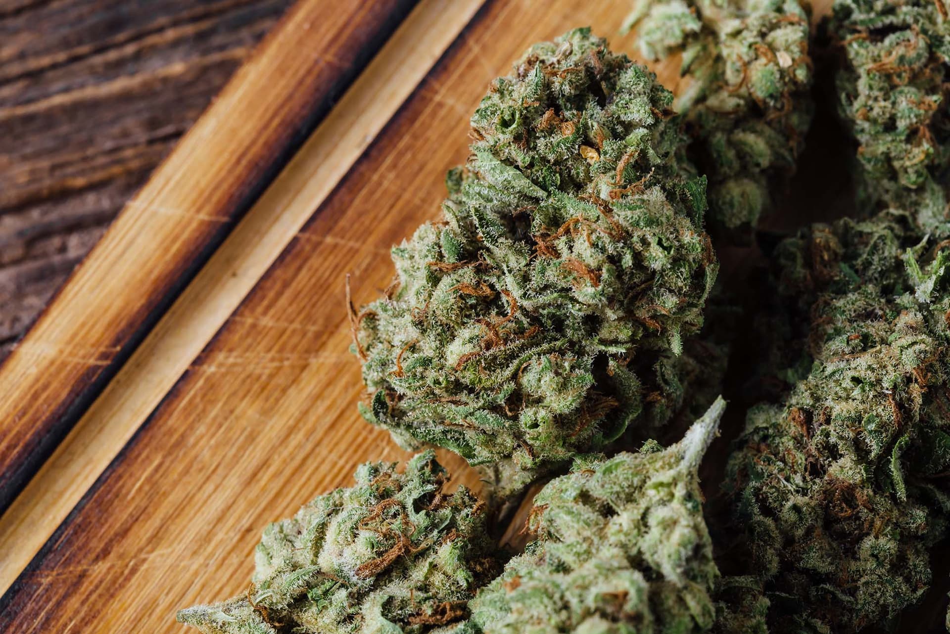 Miami Rave – Deliciously Infused Edibles Made for Flavor and Wellness