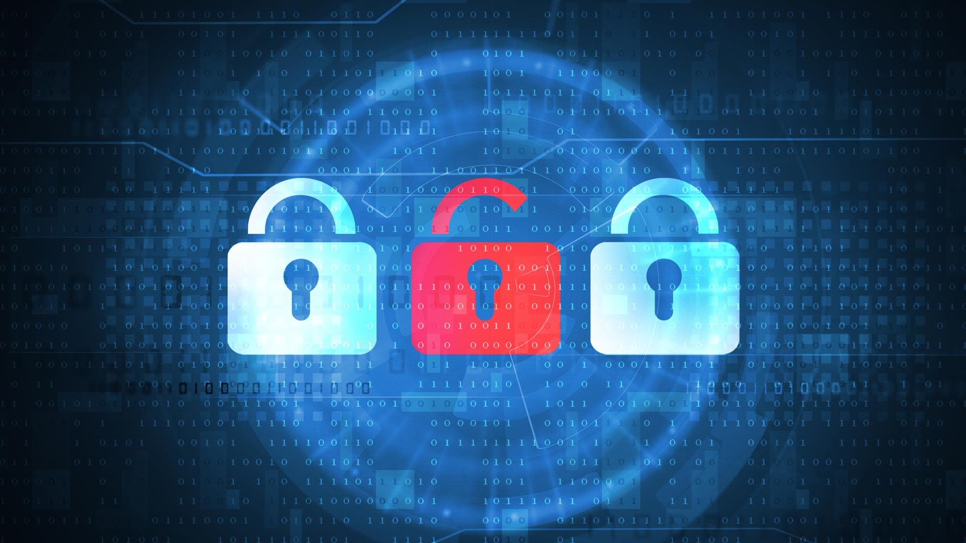 How a Reliable Privacy Hardware Store Ensures Authentic Digital Privacy Gear