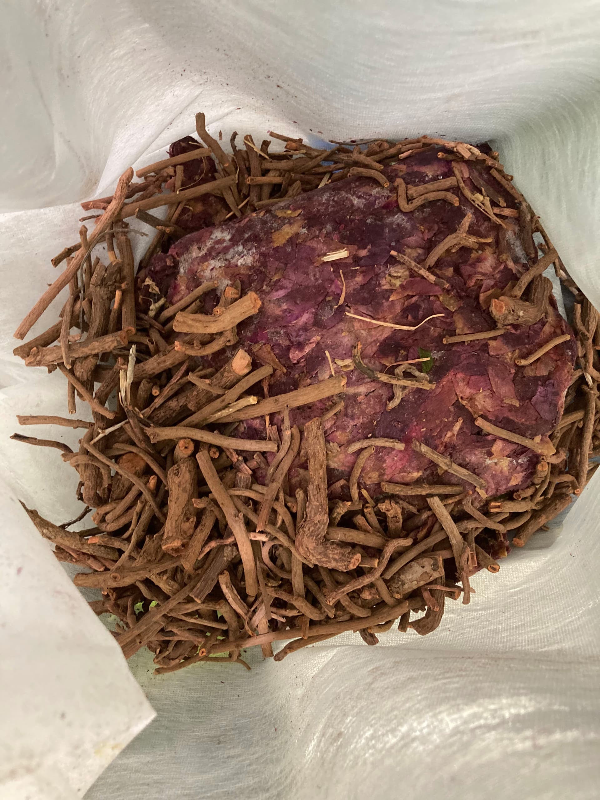 Mimosa Hostilis Root Bark for Natural Dyeing: Complete Guide