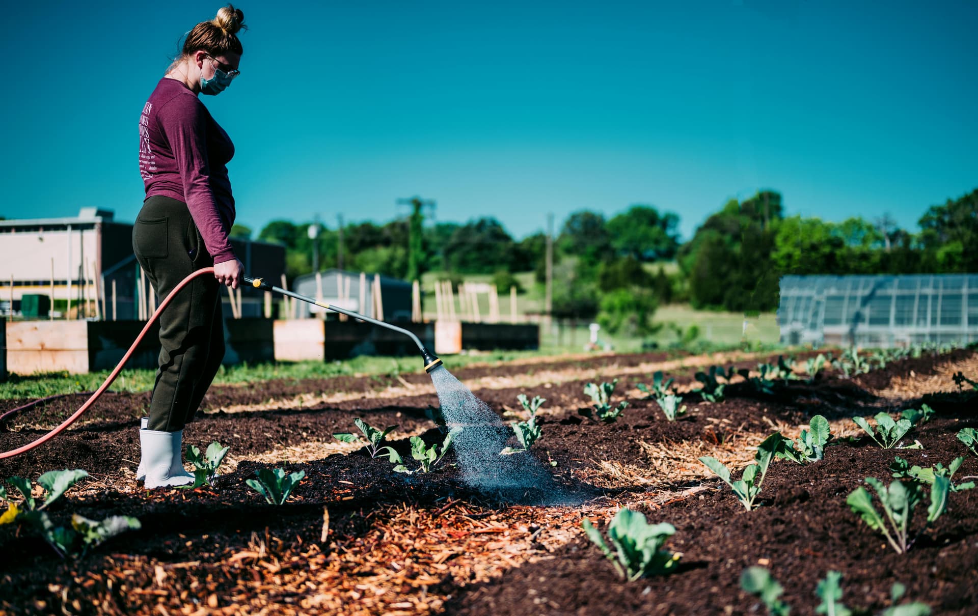 Professional Irrigation Services in Euless, TX for Long-Term Value