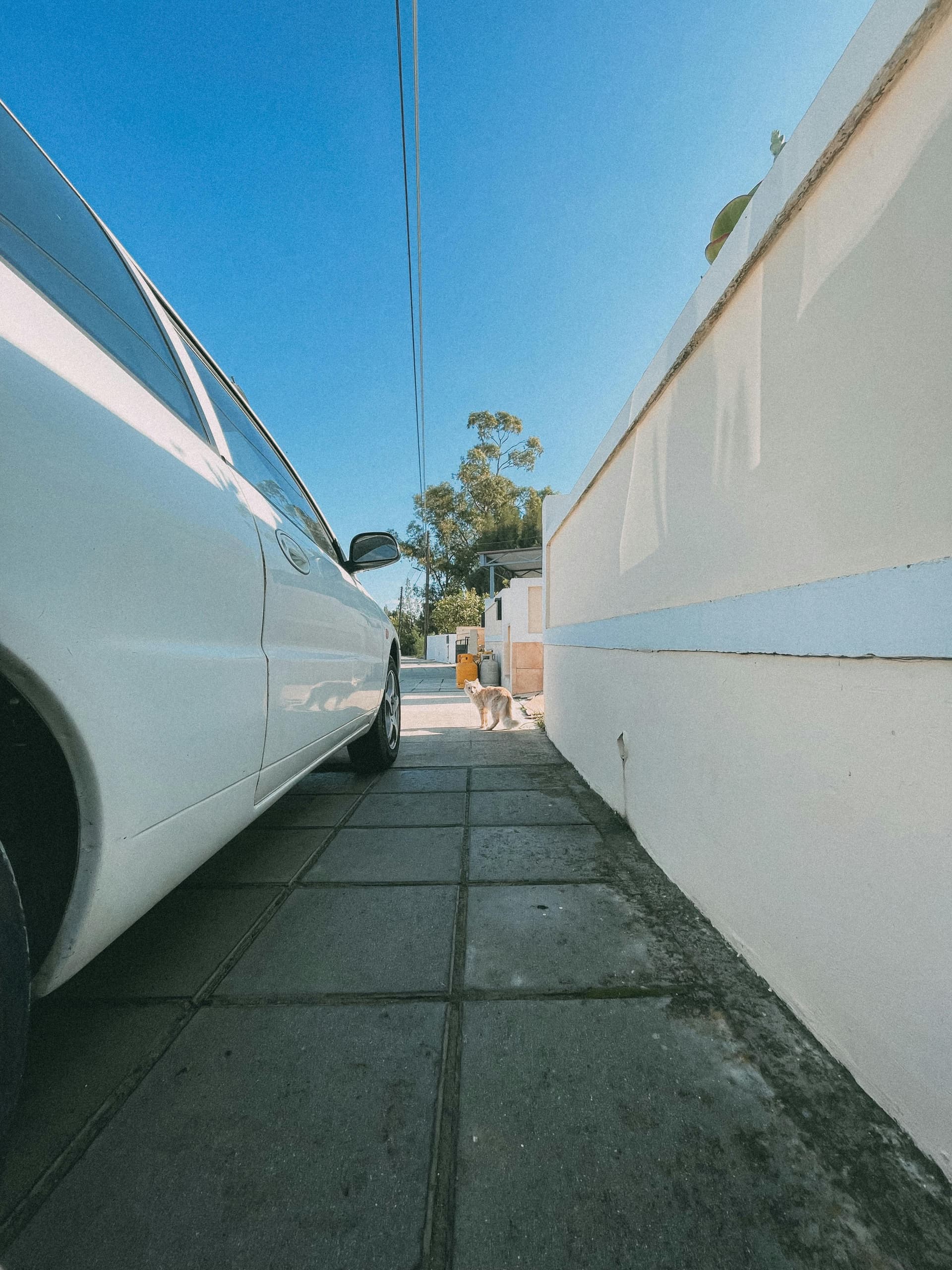 Miami Limousine Service — Luxury and Affordability Combined