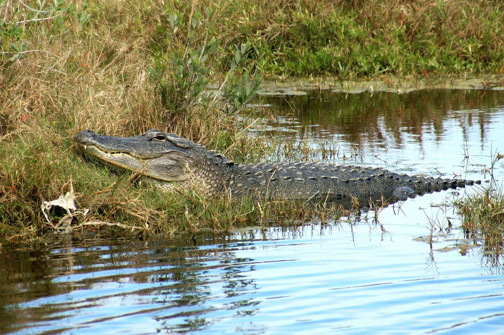 Why Families Love Attending CampImpact’s Bible Camp Florida