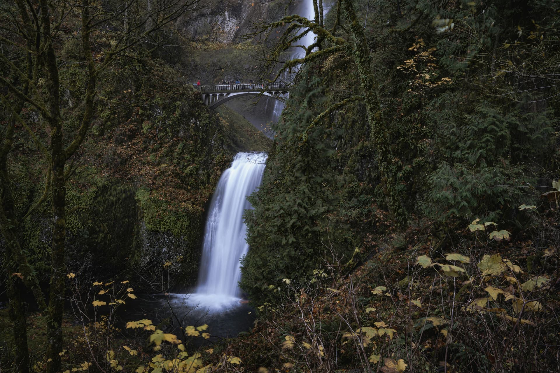 Multnomah Waterfall: A Stunning Natural Wonder You Can Visit