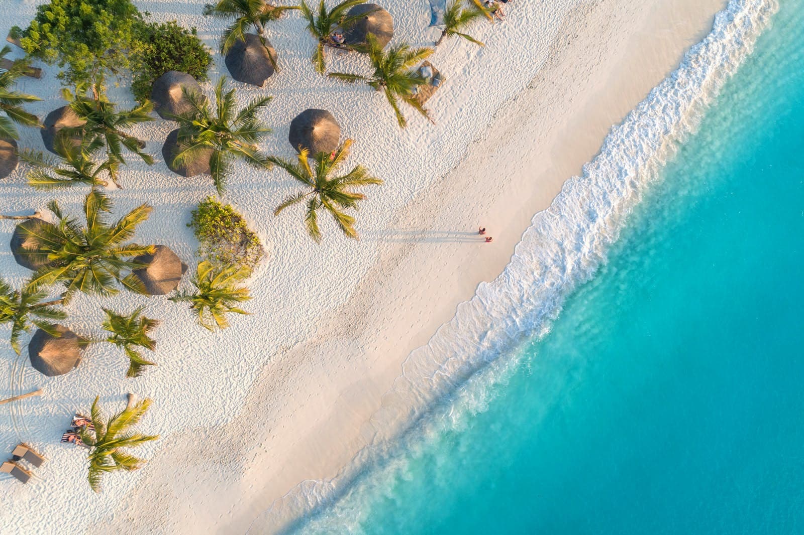 Best Zanzibar Tour Operators for an Unmatched Island Experience