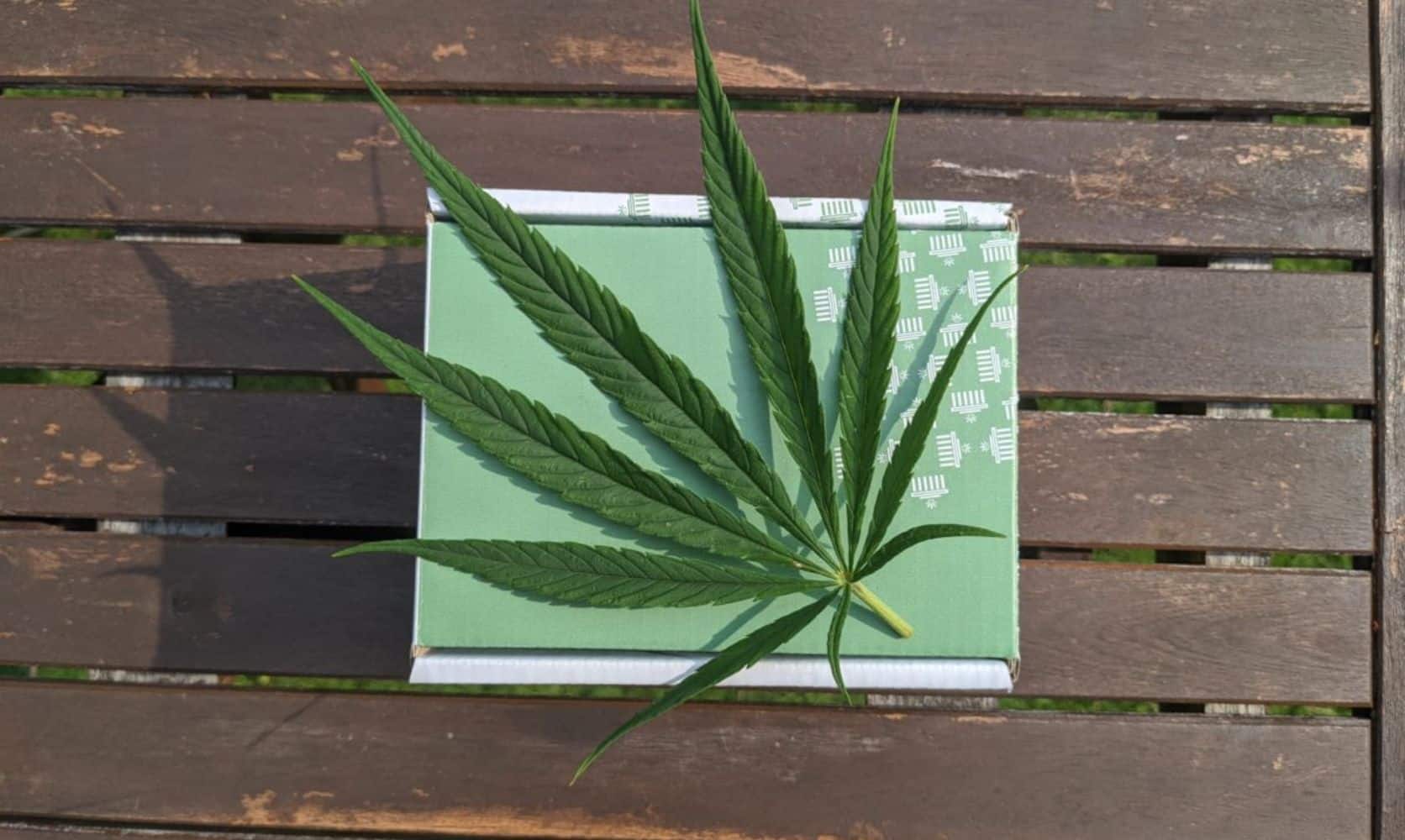 Bud Cargo: Canada’s Premier Online Dispensary Offering Premium Products at cheap canna Prices