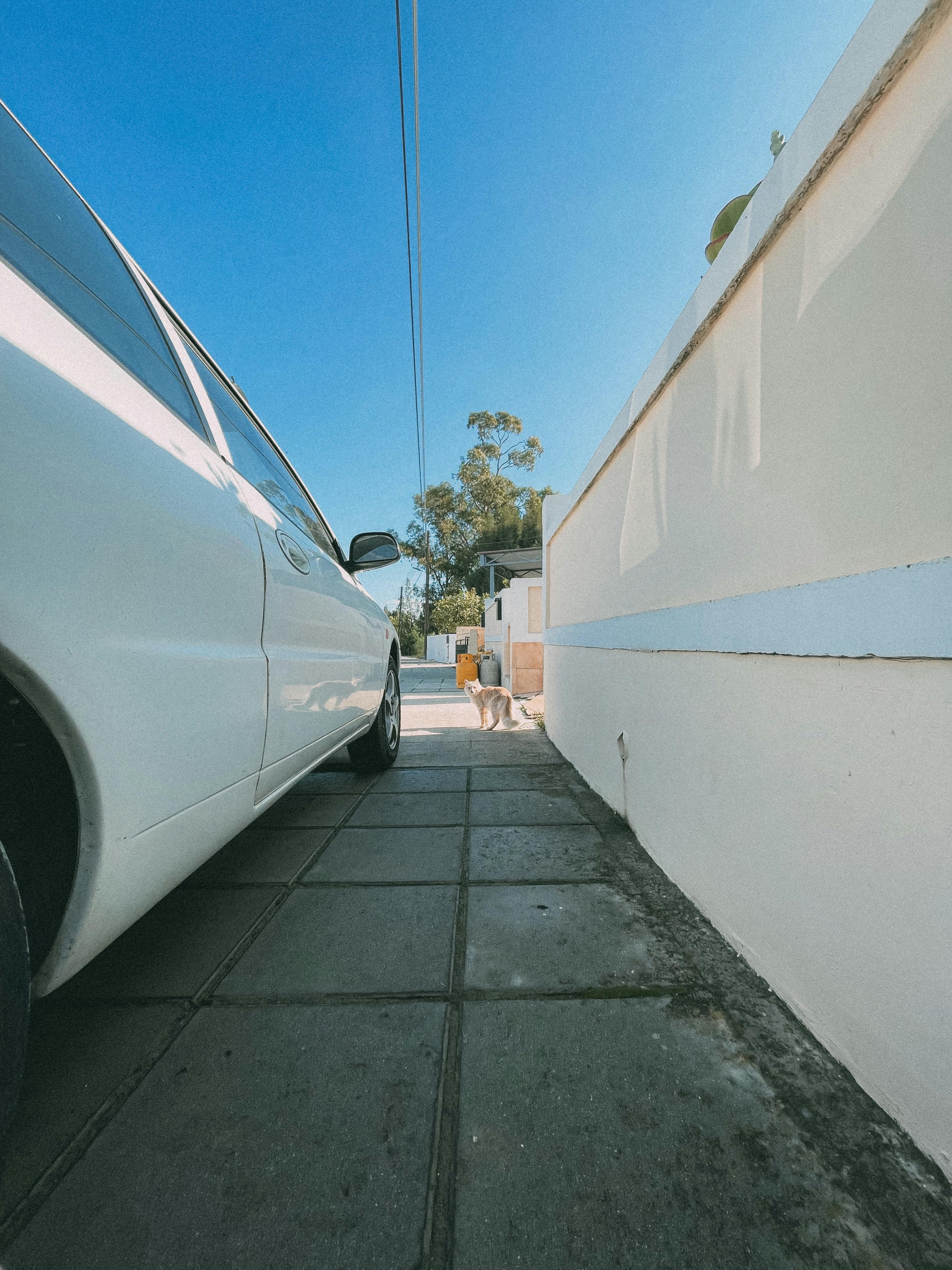 Miami Limousine Service — Luxury and Affordability Combined