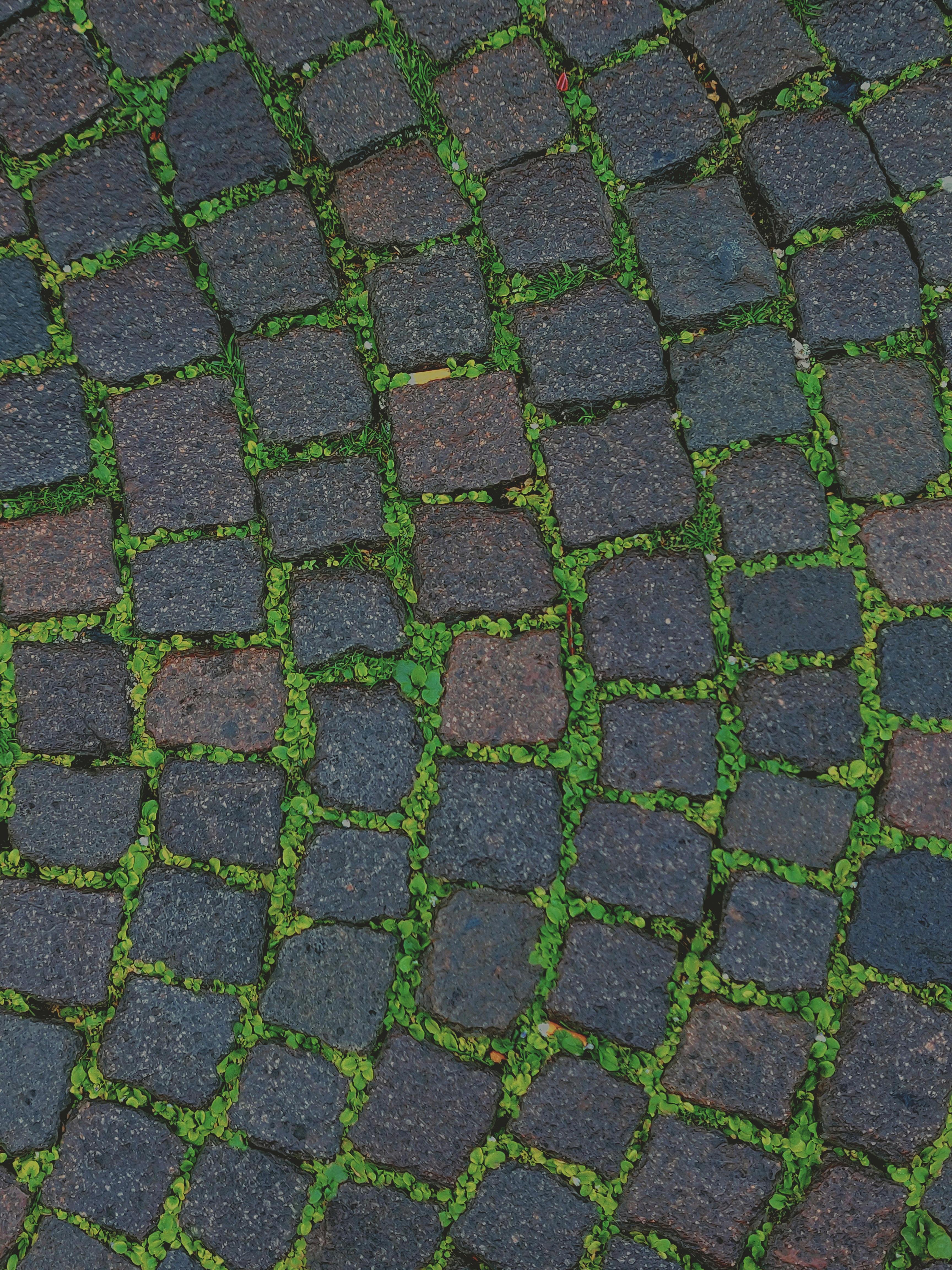 Paving Services That Stand the Test of Time