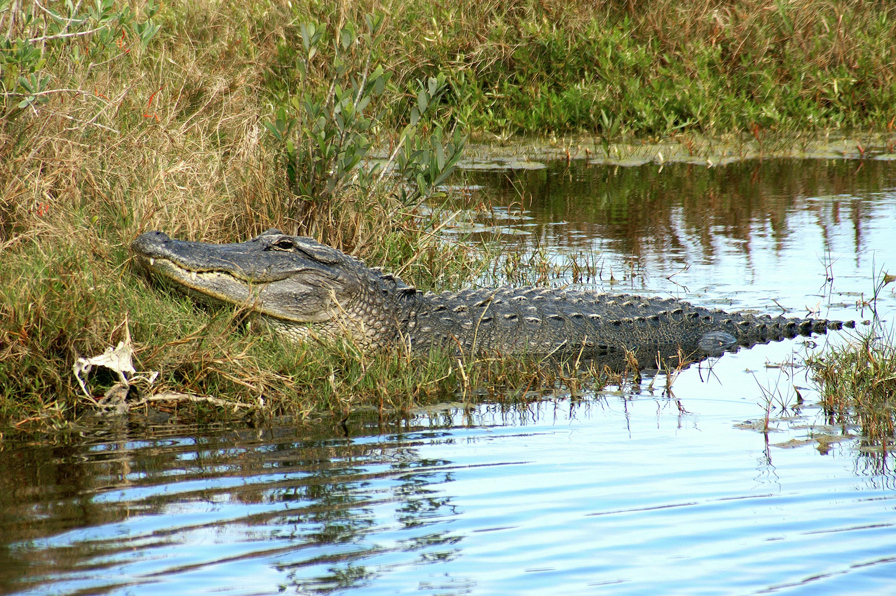 Why Families Love Attending CampImpact’s Bible Camp Florida