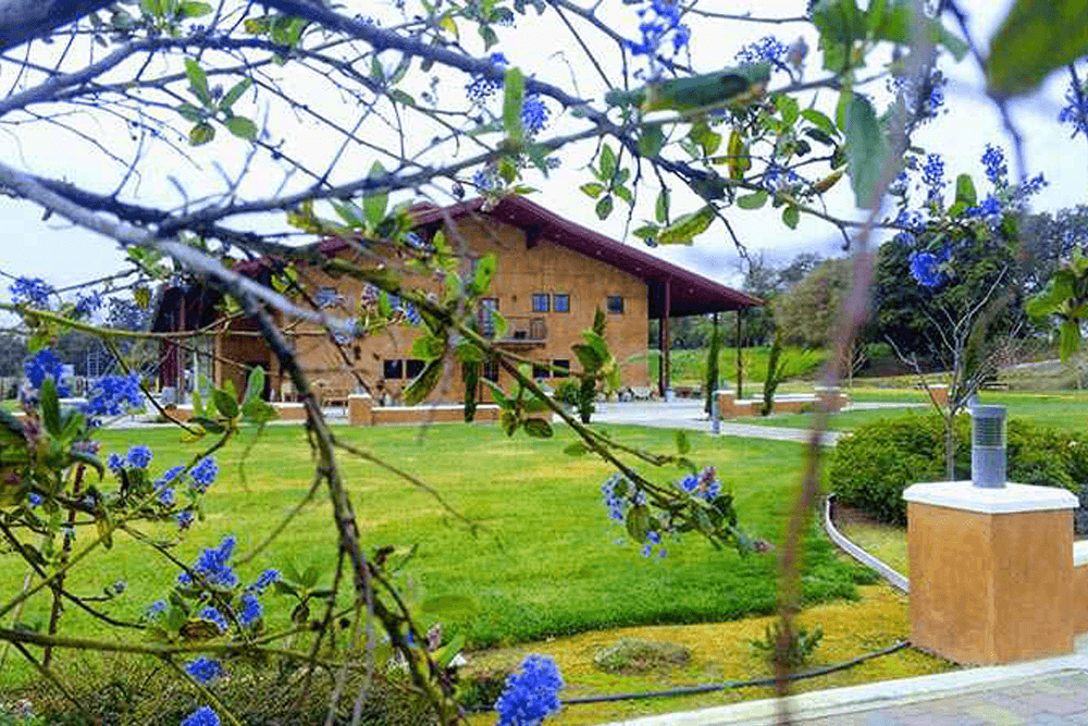 Uncover the Best Wineries in Clarksburg CA